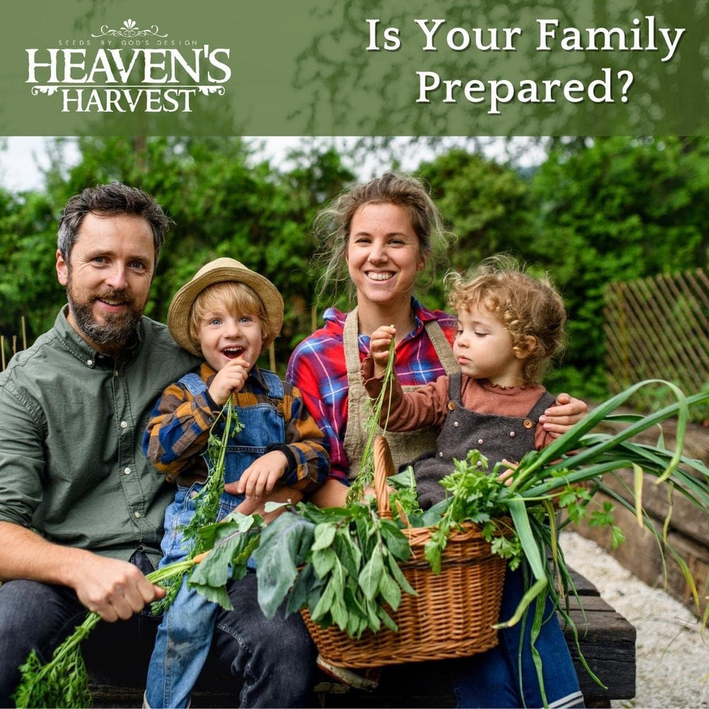 Heaven’s Harvest - 10 Year Survival Or Homestead Garden | 25k+ Heirloom Veget...