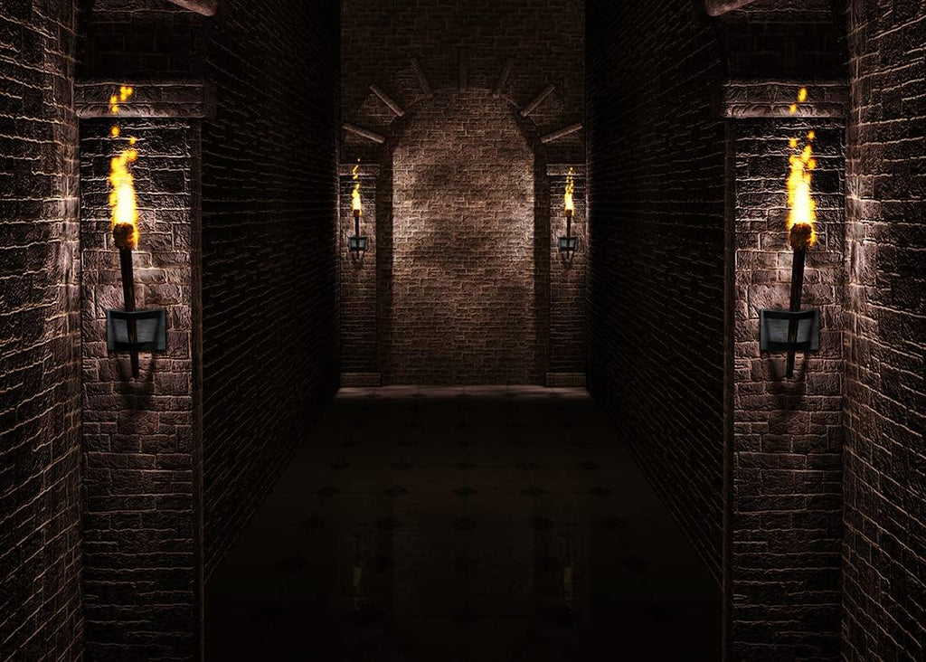 BELECO 12x10ft Fabric Gothic Castle Backdrop Ancient Black Brick Stone Wall Arches Torches Dungeon Medieval Castle Scene Halloween Night Background Medieval Party Decorations Studio Booth Photo Props