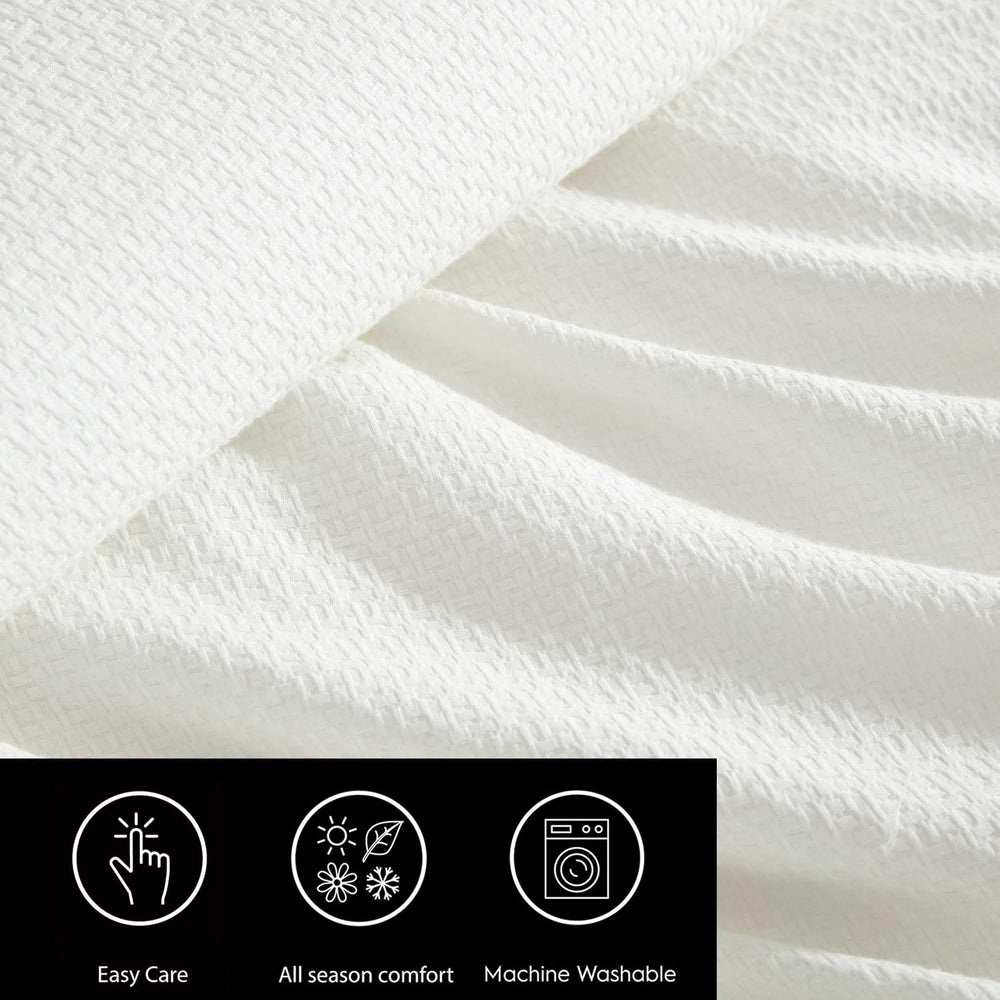 Vera Wang - Queen Size Comforter Set with Matching Shams