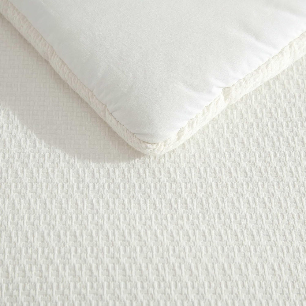 Vera Wang - Queen Size Comforter Set with Matching Shams