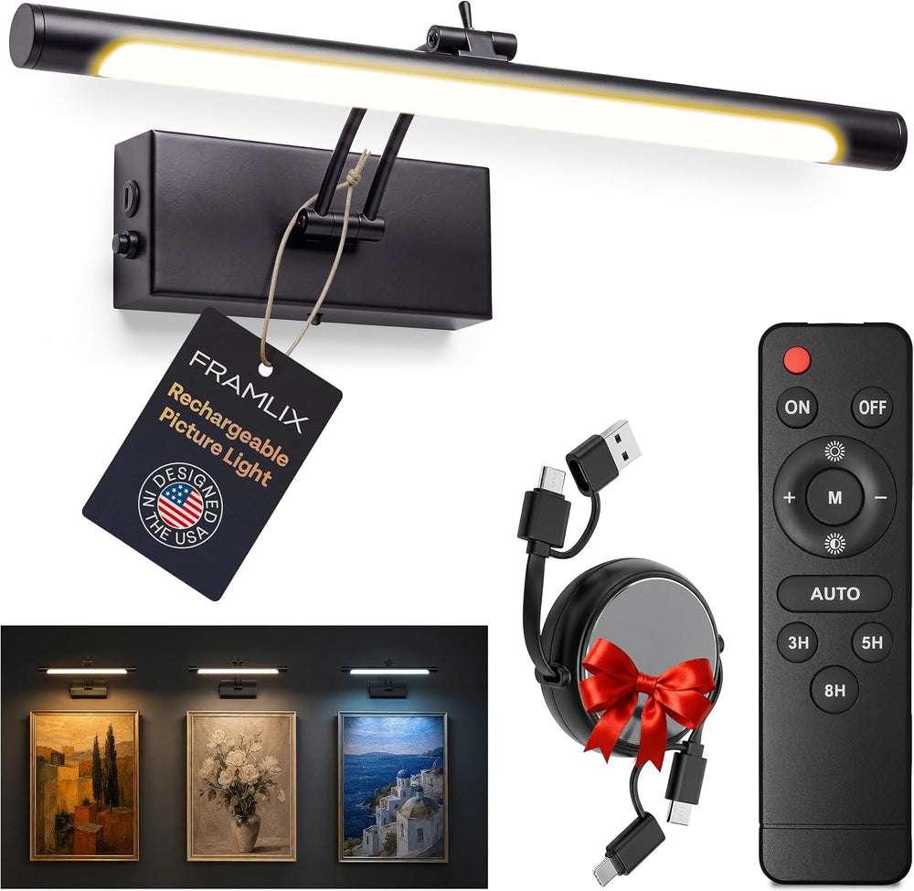 Picture Light for Wall, Rechargeable LED Art Light, Remote, Black