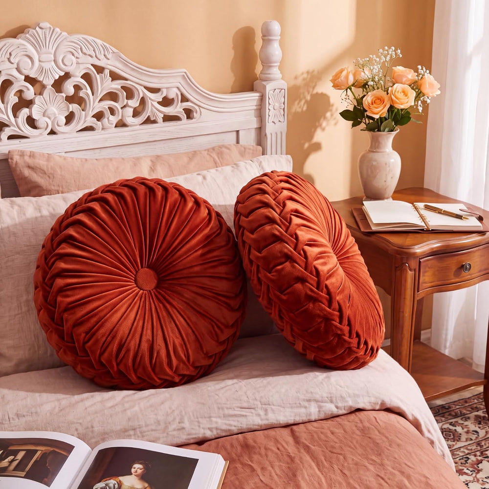 Drydiet 2 Pcs Round Throw Velvet Pillow (Rust, 15'')