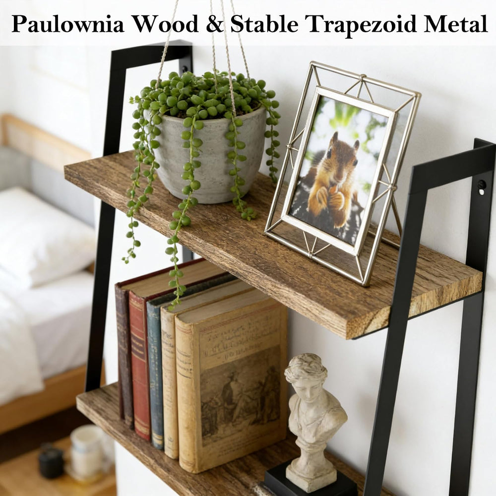 SRIWATANA Carbonized Black 2-Tier Floating Shelves, Wood Wall Storage Shelf
