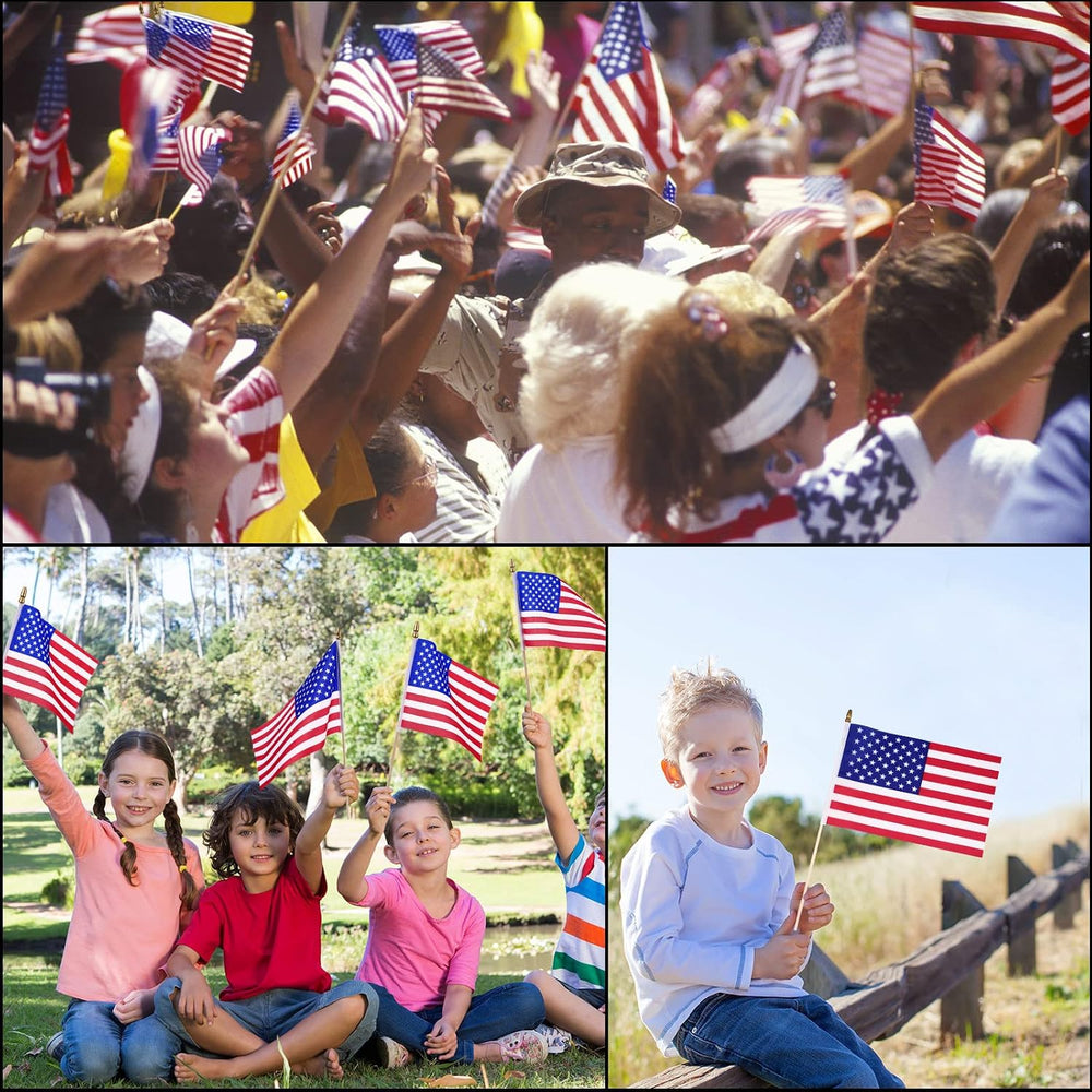 Tegeme 100 Pack Bulk Small American Flags on Stick, Wooden Pole Spear Tip