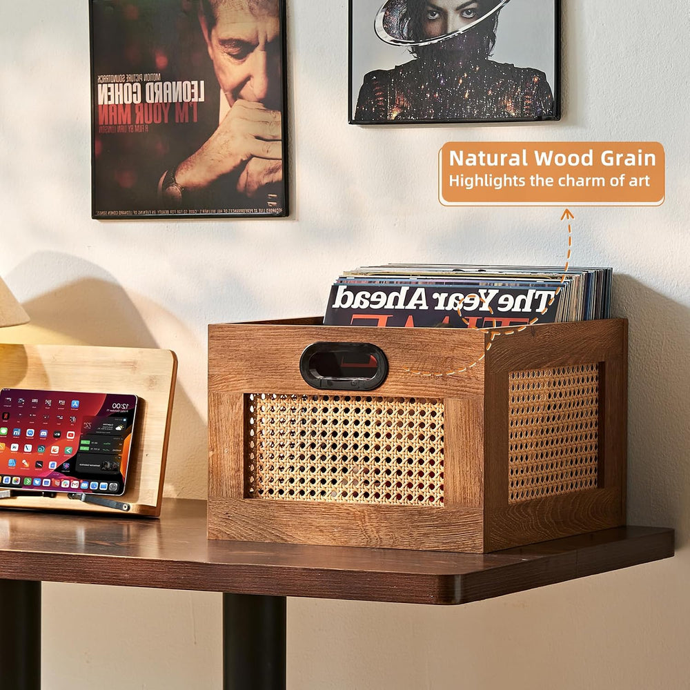 LELELINKY 2 Pack Vinyl Record Storage Crates, Rattan Vinyl Record Holder