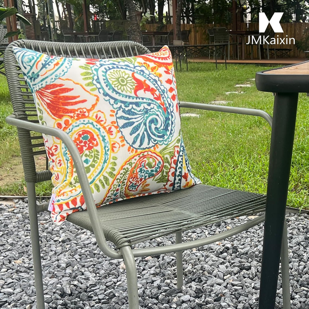 Outdoor/Indoor Throw Pillows with Inserts, 18"x18" Pack of 2