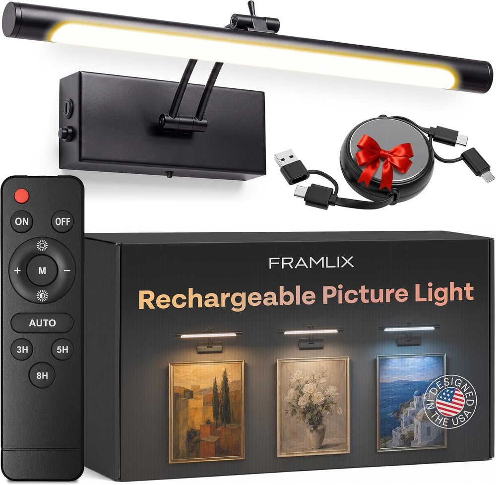 Picture Light for Wall, Rechargeable LED Art Light, Remote, Black