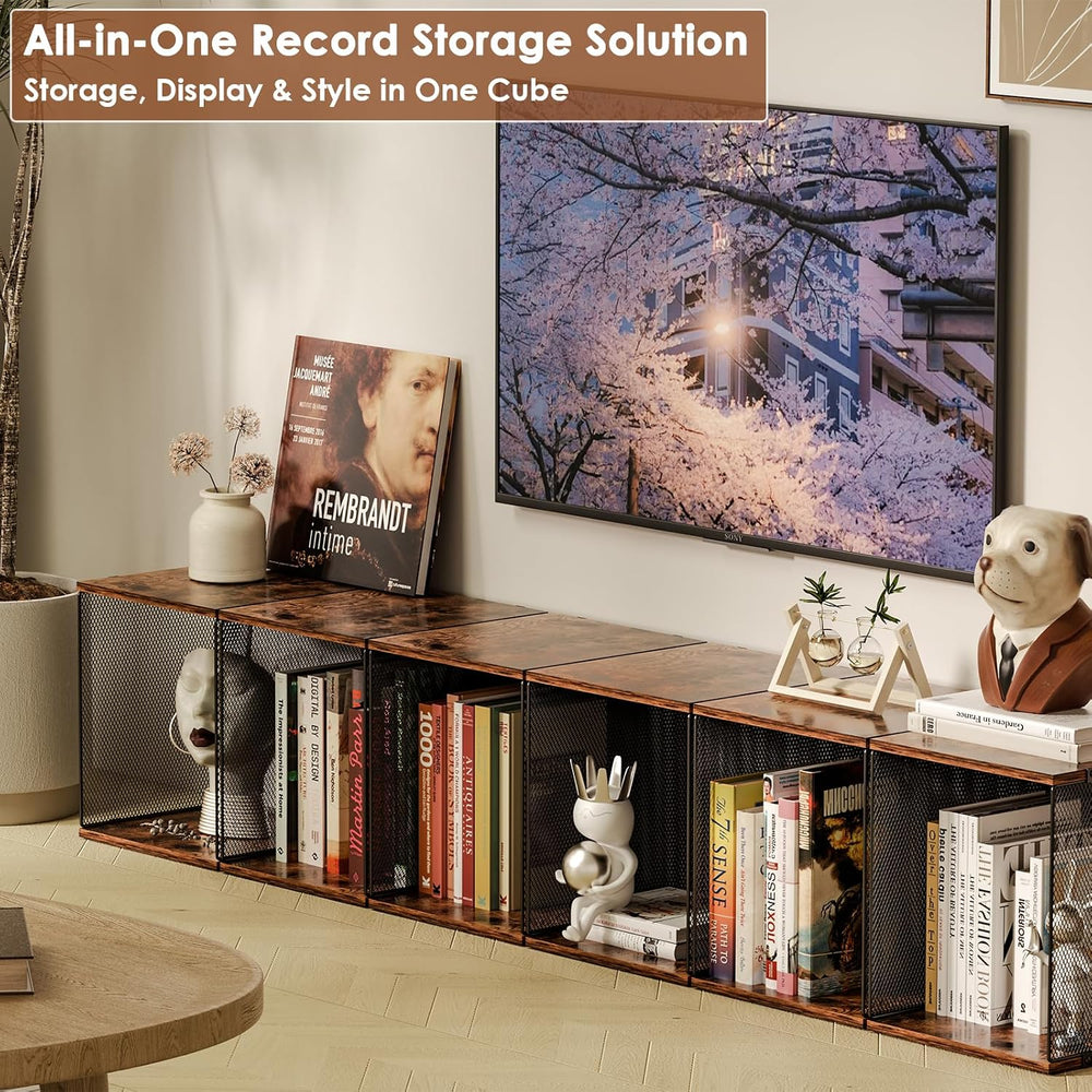 Dmevkic 4 Cube Vinyl Record Storage