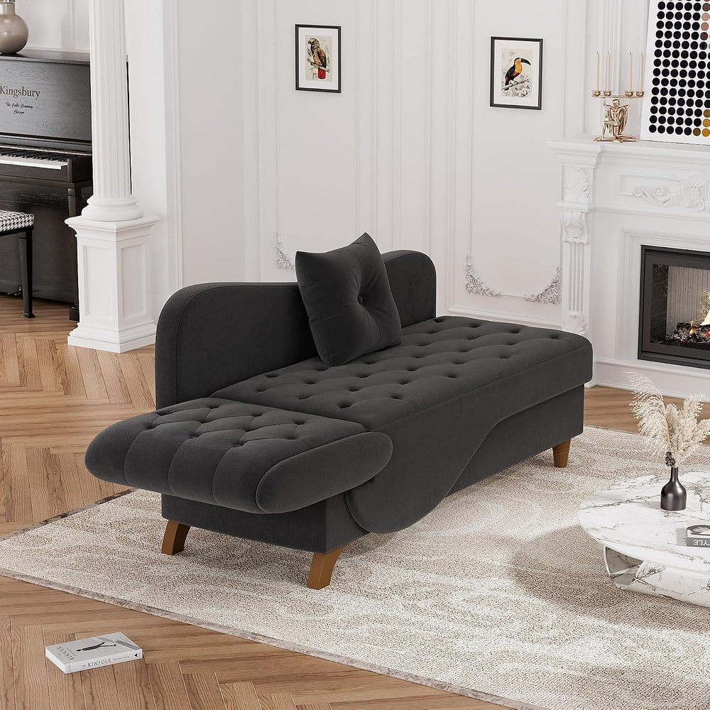 DAMAIFROM Chaise Lounge Chair Indoor with Storage,Adjustable Backrest,Black