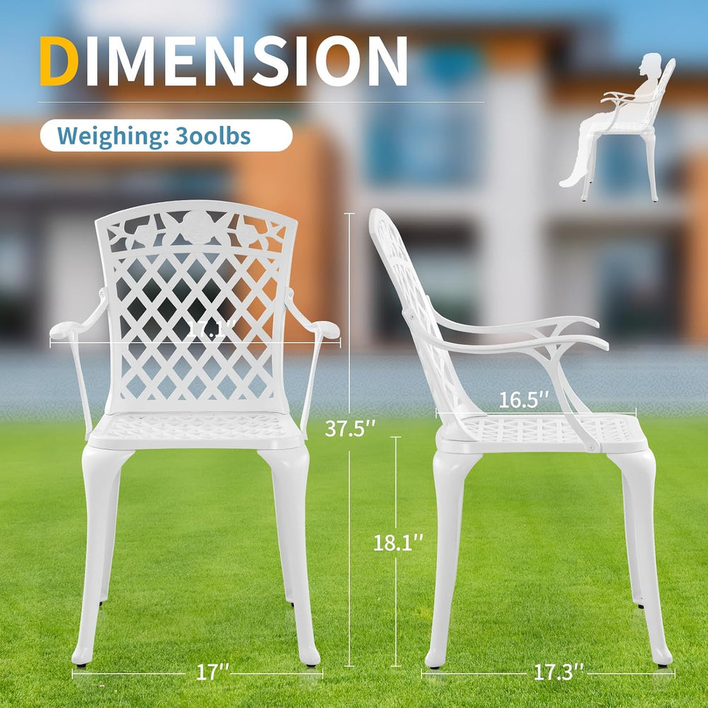 Sturdy Patio Chairs Cast Aluminum Outdoor Dining Chairs with Armrest, Outdoor...