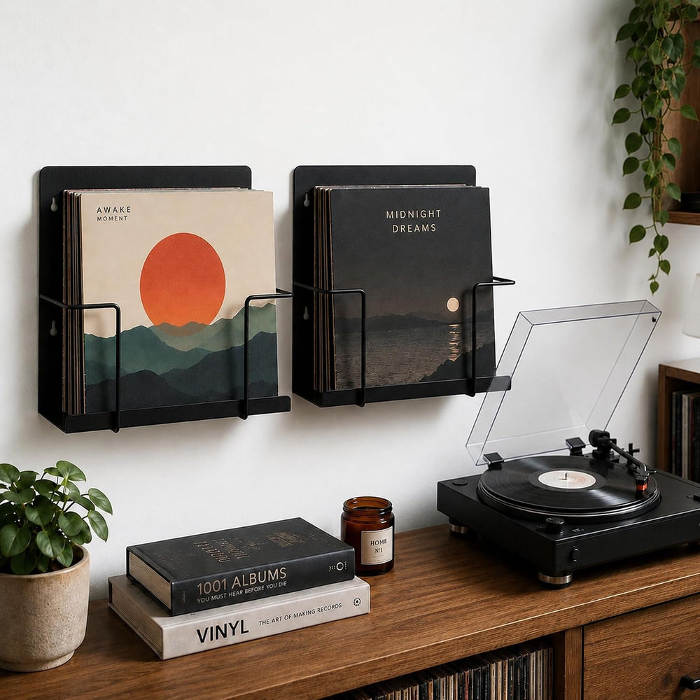 Vinyl Record Holder Wall Mount, 2 Pack Metal LP Storage Display Rack, Black