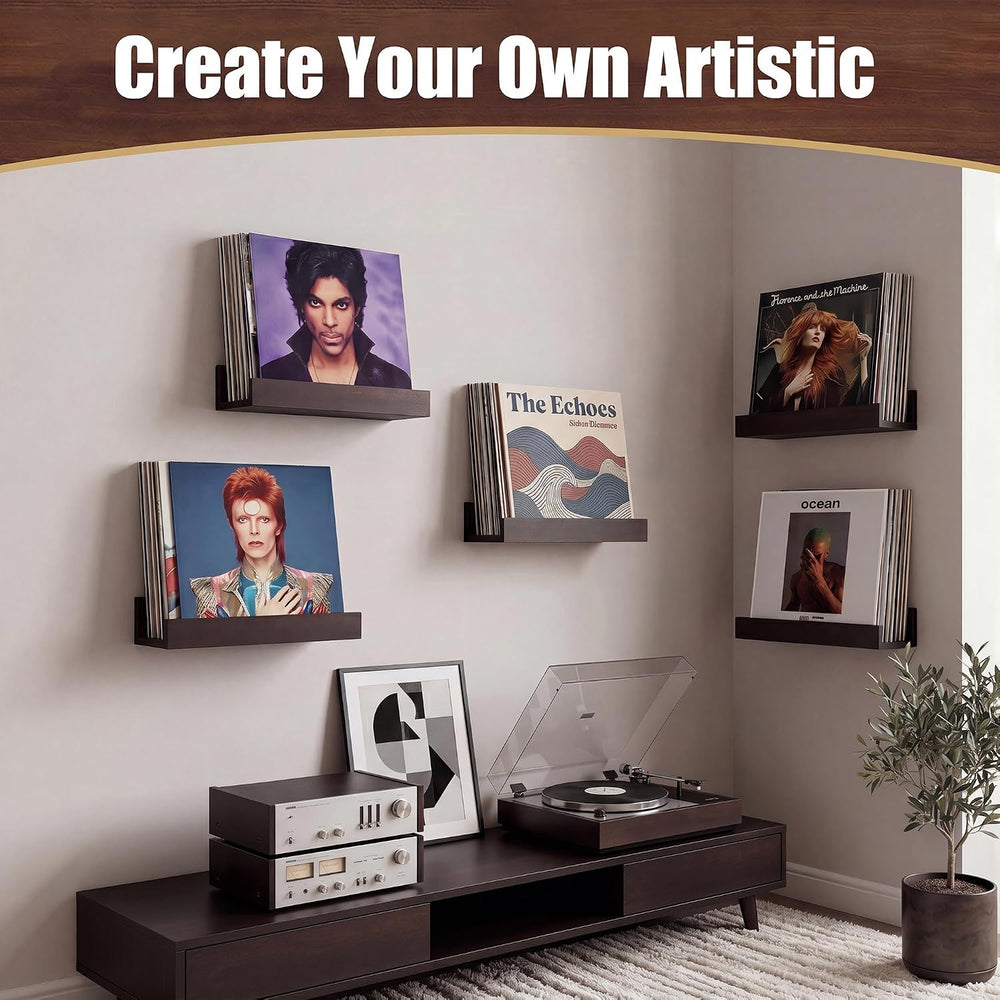 Vinyl Record Holder Wall Mount, Large Record Shelf for Storage & Display