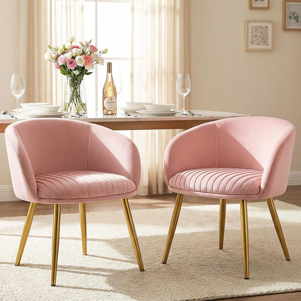Accent Chairs Set of 2 Girls Desk Chair No Wheels Comfy for Makeup Vanity, 20...