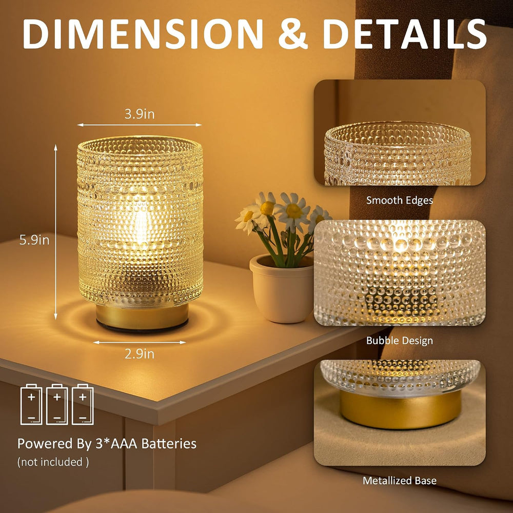 2 Pack Battery Operated Lamp with Timer,Small Decorative Table Lamps,Clear