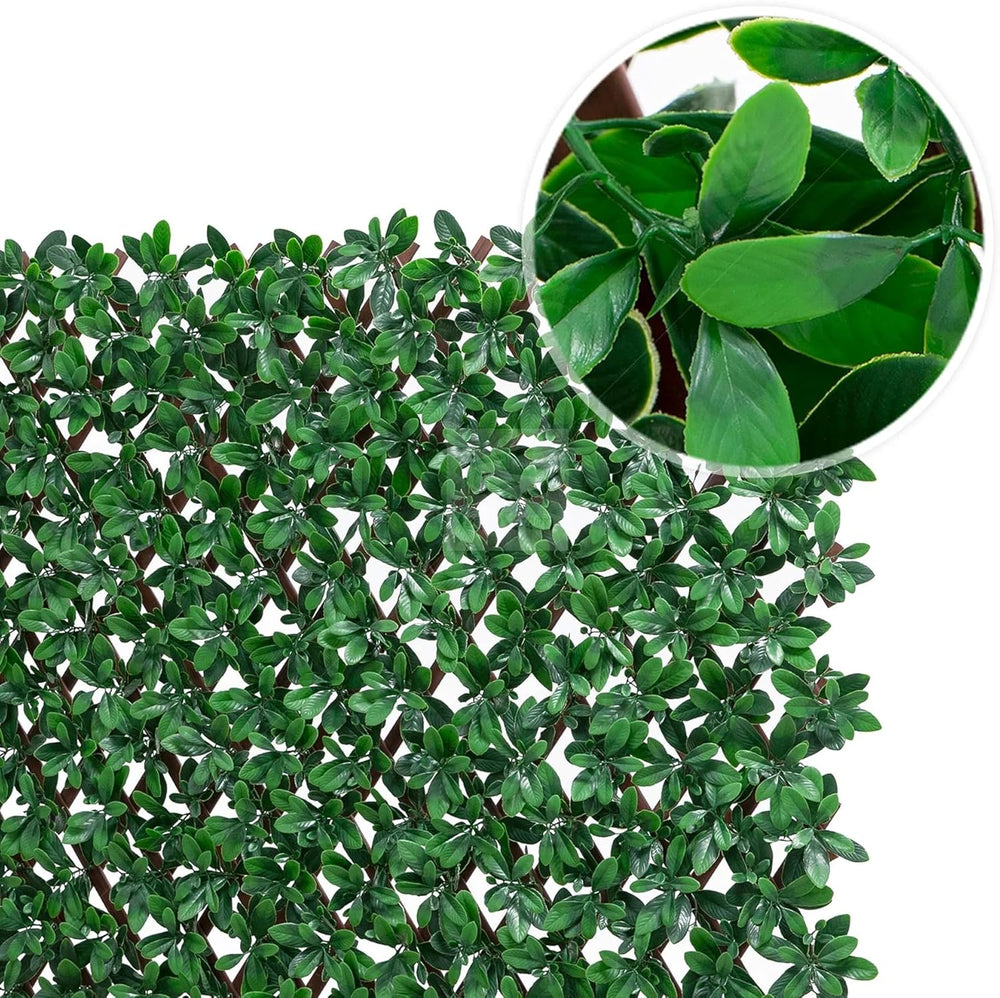 NatraHedge 20''X50'' Artificial Privacy Grass Wall Decor, Lau...