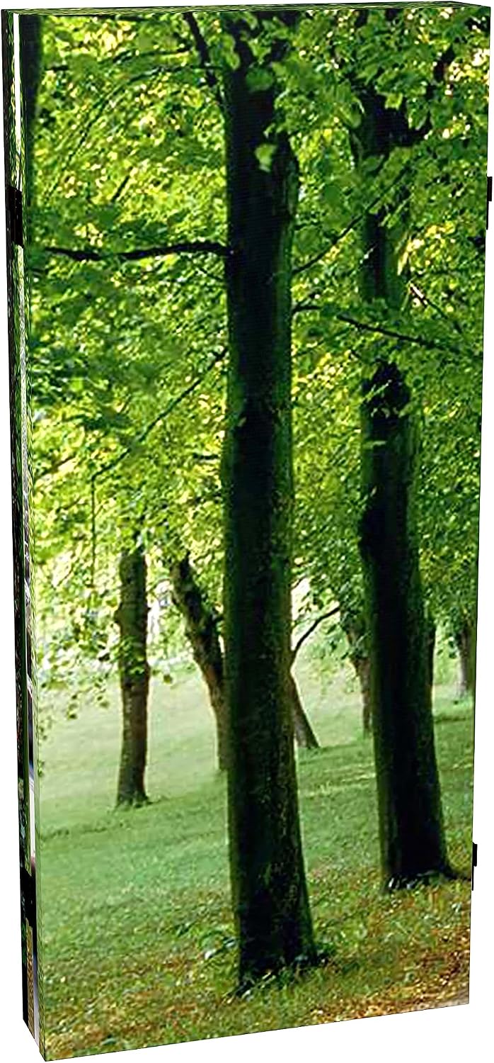 Red Lantern Double Sided Path of Life Canvas Folding Screen, 3 Foot - 4 Panel