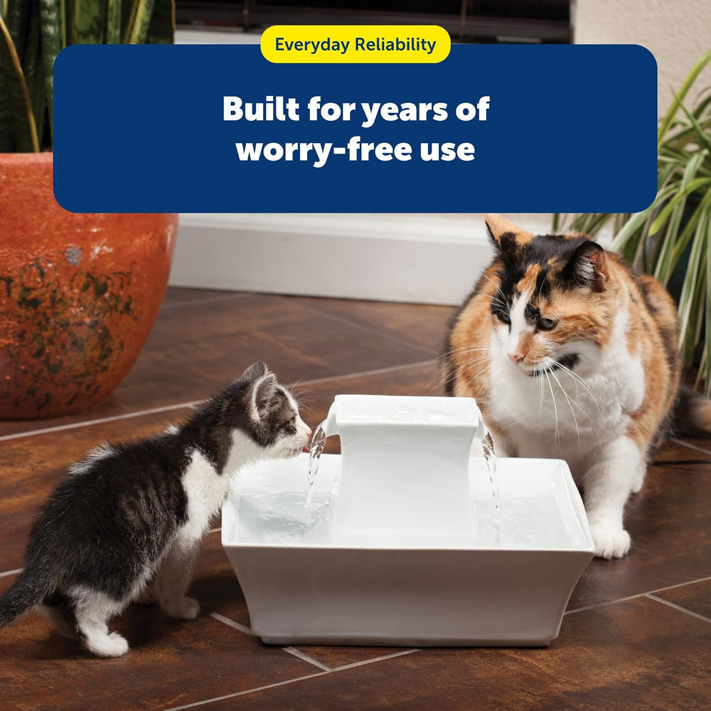 PetSafe Cat and Dog Water Fountain - Automatic Water Dispenser - Drinkwell Pa...