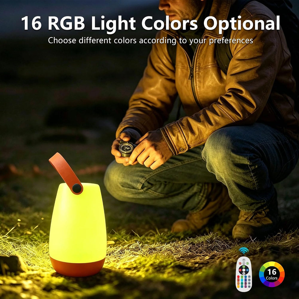 2-Pack Portable Outdoor Table Lamp,USB Rechargeable and RGB Light