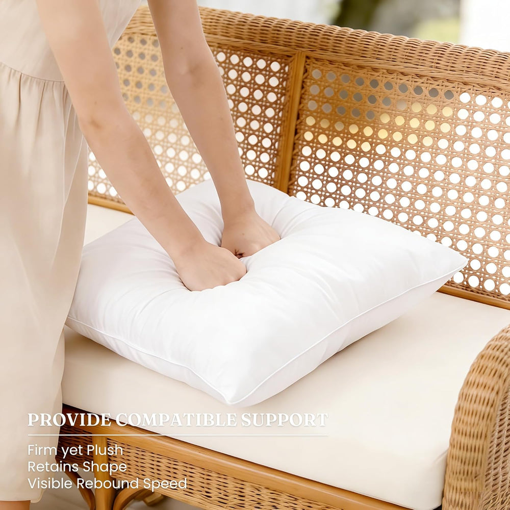 Oubonun Waterproof Outdoor Pillow Inserts 24 x 24 Set of 2, Square Pillows