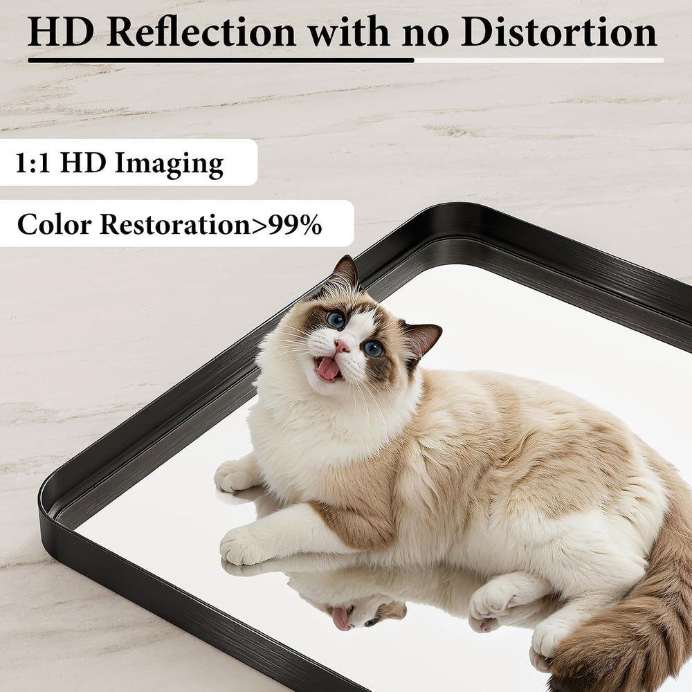Black Metal Vanity Rounded Rectangle Bathroom Mirrors for Over Sink Wall