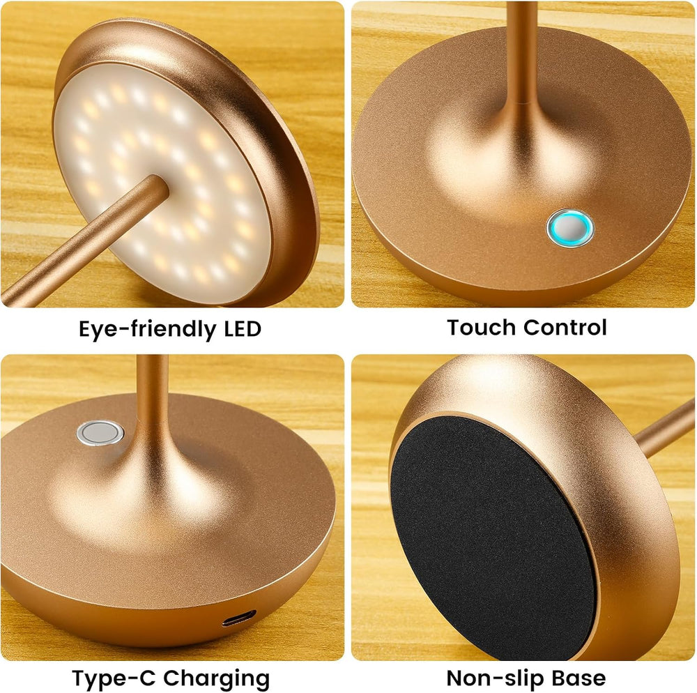 LED Rechargeable Cordless Table Lamp Battery Operated Light 2P Bronze