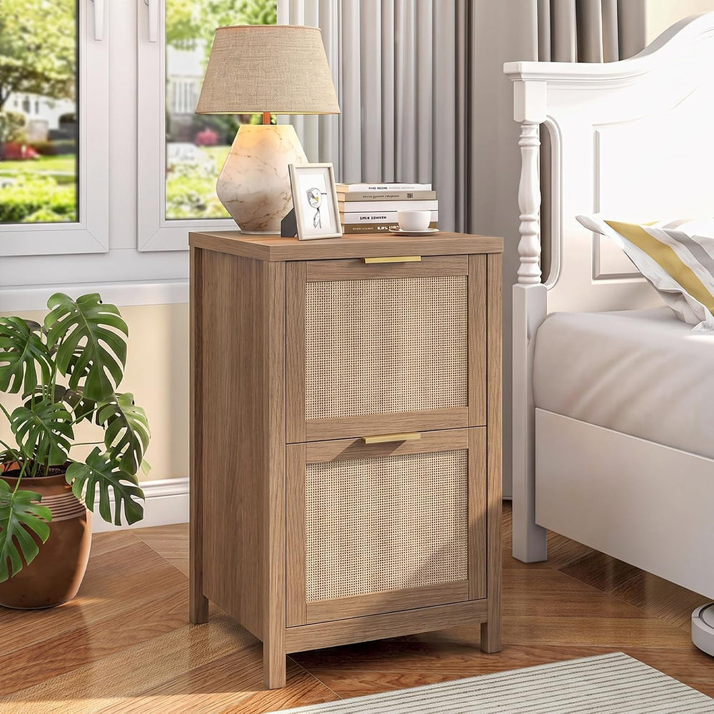 Halitaa 2-Drawer Rattan Small File Cabinet, Vertical Filing Cabinet, Brown