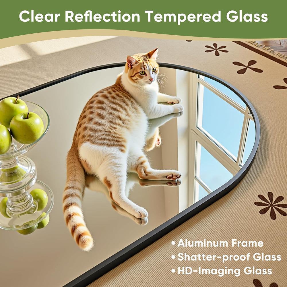 Oversized Floor Mirror, 72"x32" Arched Full Length Mirror, Black