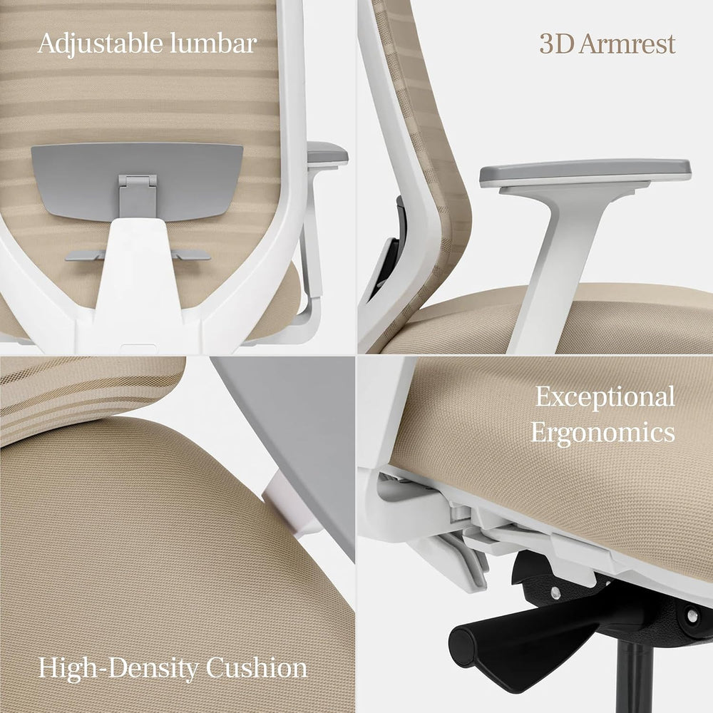 Branch Ergonomic Chair, Versatile Desk Chair with Adjustable Lumbar Support
