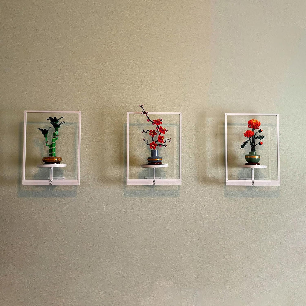 Picture Frame Wall Planters Set of 3, Modern Metal Hanging Shelves for Plants...