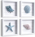 Tide and Tales 3D Coastal Wall Art, Beach Wall Decor, Framed Set of 4