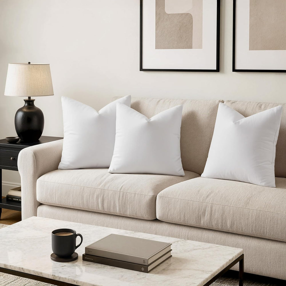 MIULEE 22x22 Pillow Insert, Set of 1 Feather Down Throw Pillows