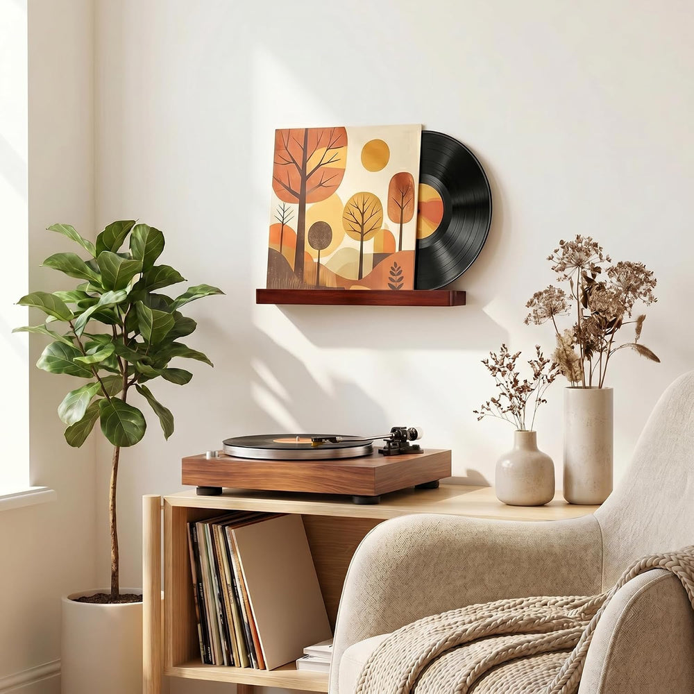 Heimlove Vinyl Wall Mount Solid Wood Record Shelf Display, Brown, 6 Pack