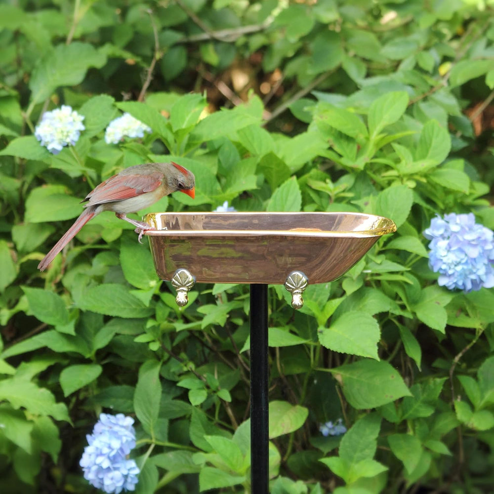 Pure Copper Bird Bath, Featuring Clawfoot Bathtub Design - Polished Copper by...