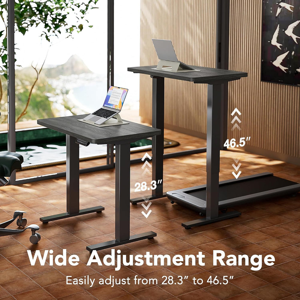 HUANUO 40x24 Inch Electric Standing Desk, Height Adjustable, Grey