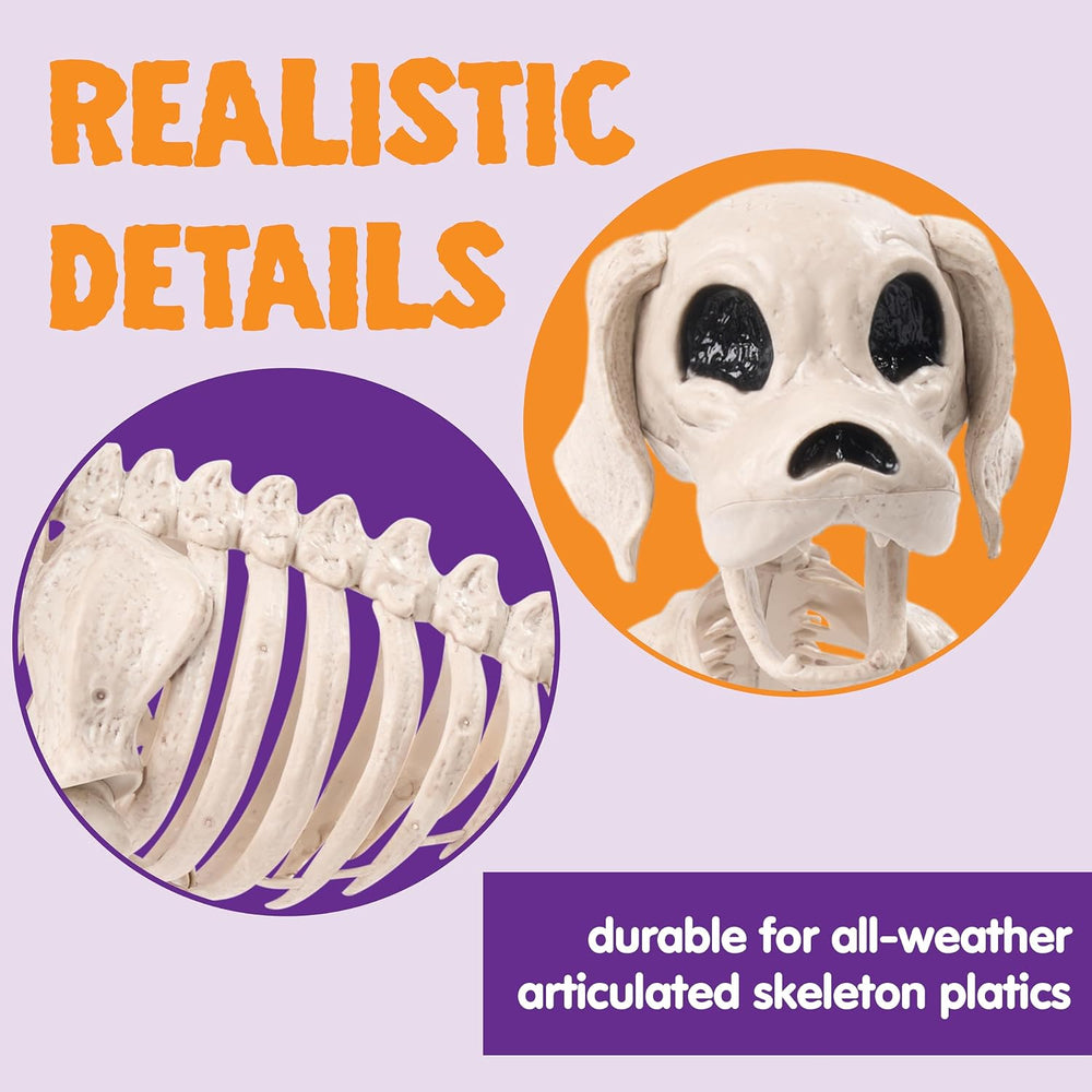 JOYIN Posable Halloween Dog Skeleton Full Body Posable Joints Realistic Skele...
