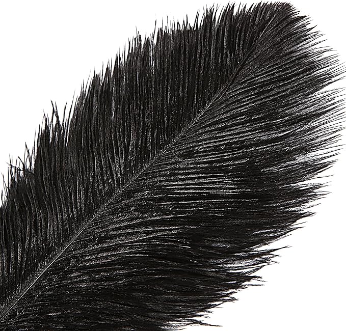 THARAHT Black Ostrich Feathers 12pcs Large Natural Bulk 20-22Inch 50cm-55cm f...