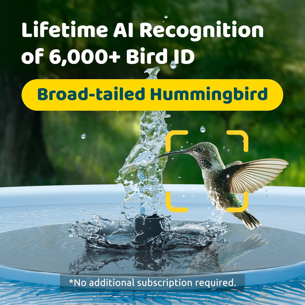 Birdfy Smart Bird Bath with Camera, Solar Powered, Dual-Lens 2K AI Camera