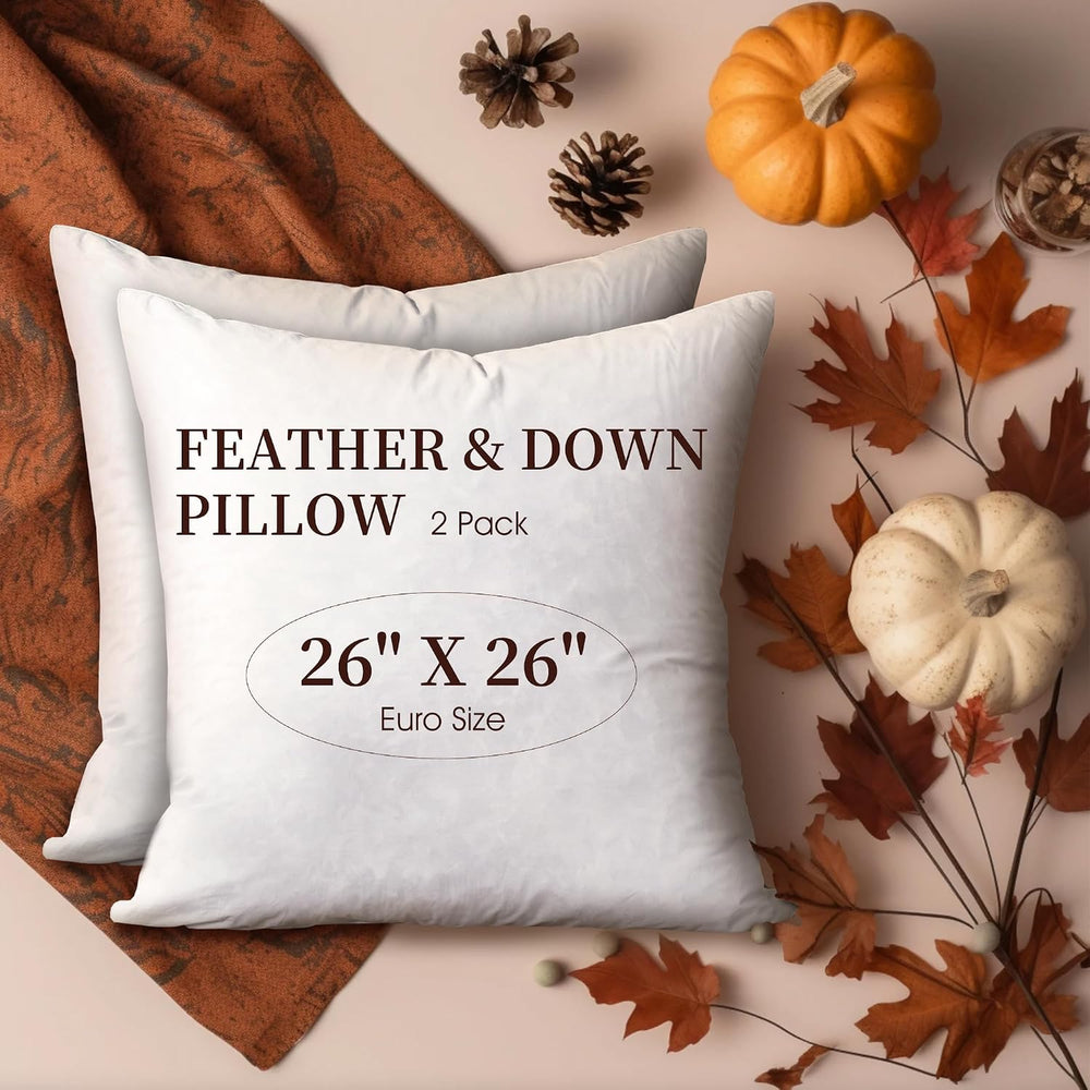 Blue Ridge Home Fashions Feather Down Pillow Square Euro Size Set of 2 Pack C...
