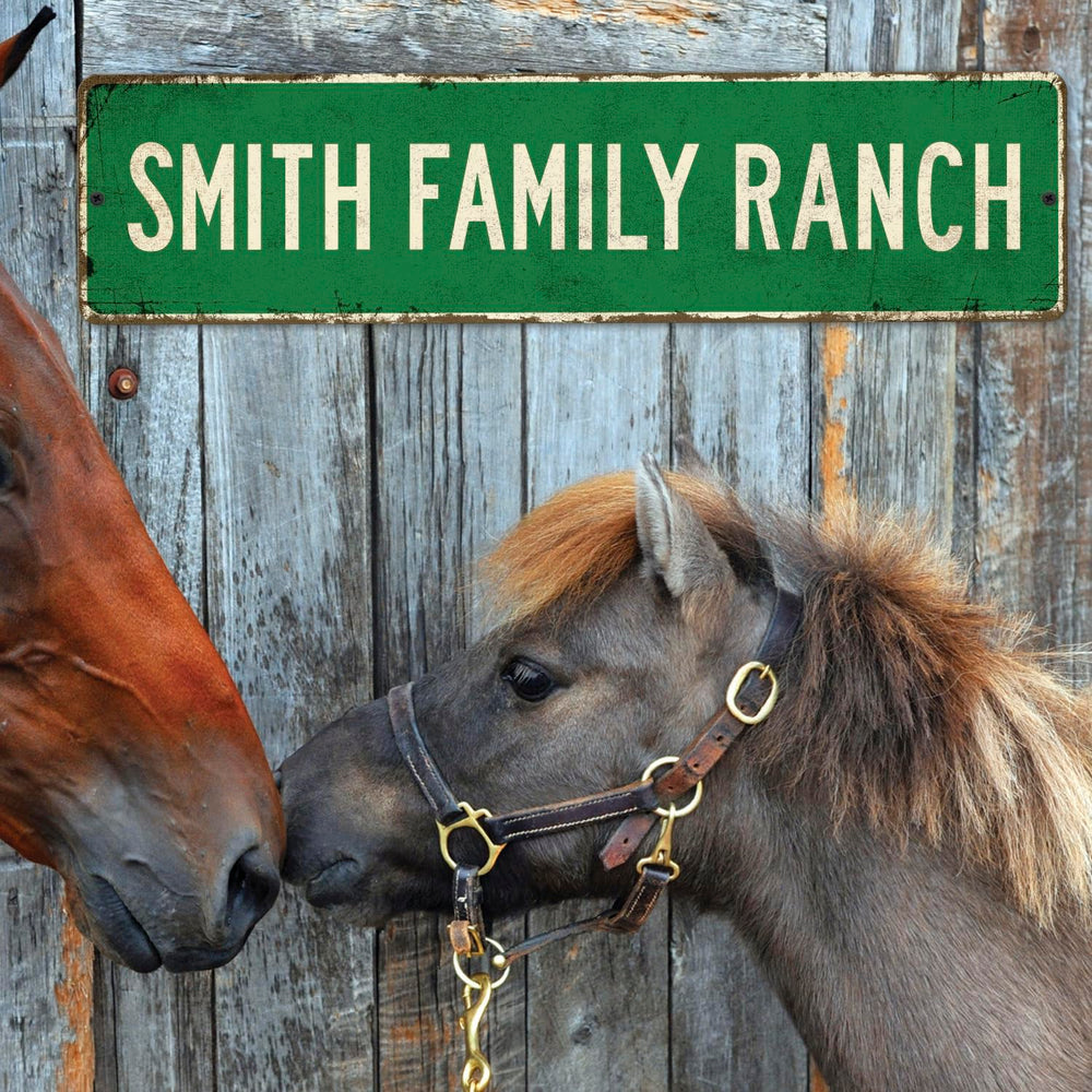 Custom Rustic Sign, Personalized Decor Street Signs Gift, 24x6 Inches, ACM,