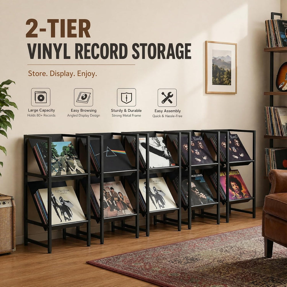 2-Tier Black Metal Vinyl Record Storage Holder for Collection