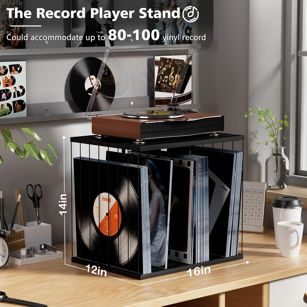 Emfogo Vinyl Record Storage, Metal & Wooden Vinyl Record Holder Up to 80 ...