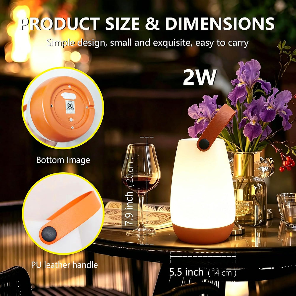 2-Pack Portable Outdoor Table Lamp,USB Rechargeable and RGB Light