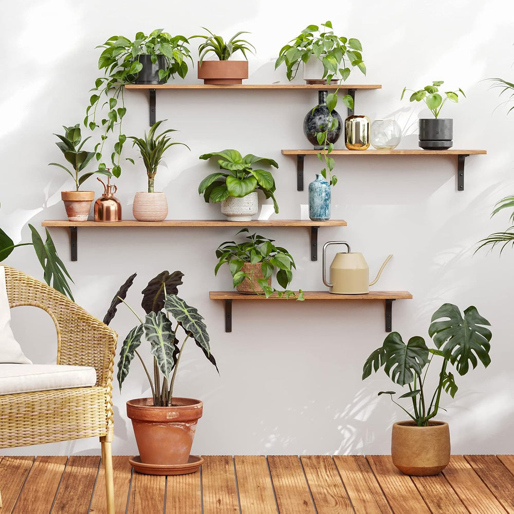 DINZI LVJ Long Wall Shelves, 23.6Inch Wooden Wall Mounted Shelves, Set of 2