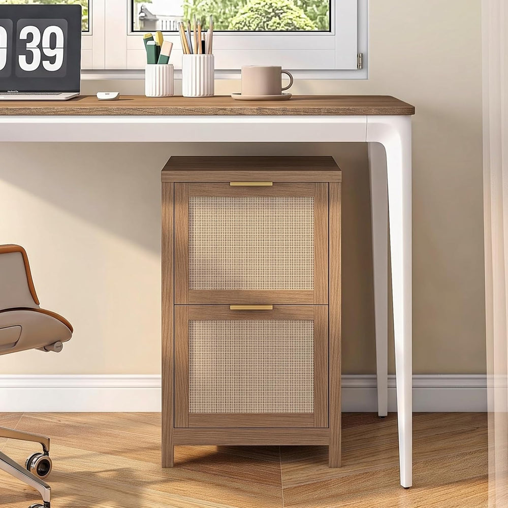 Halitaa 2-Drawer Rattan Small File Cabinet, Vertical Filing Cabinet, Brown