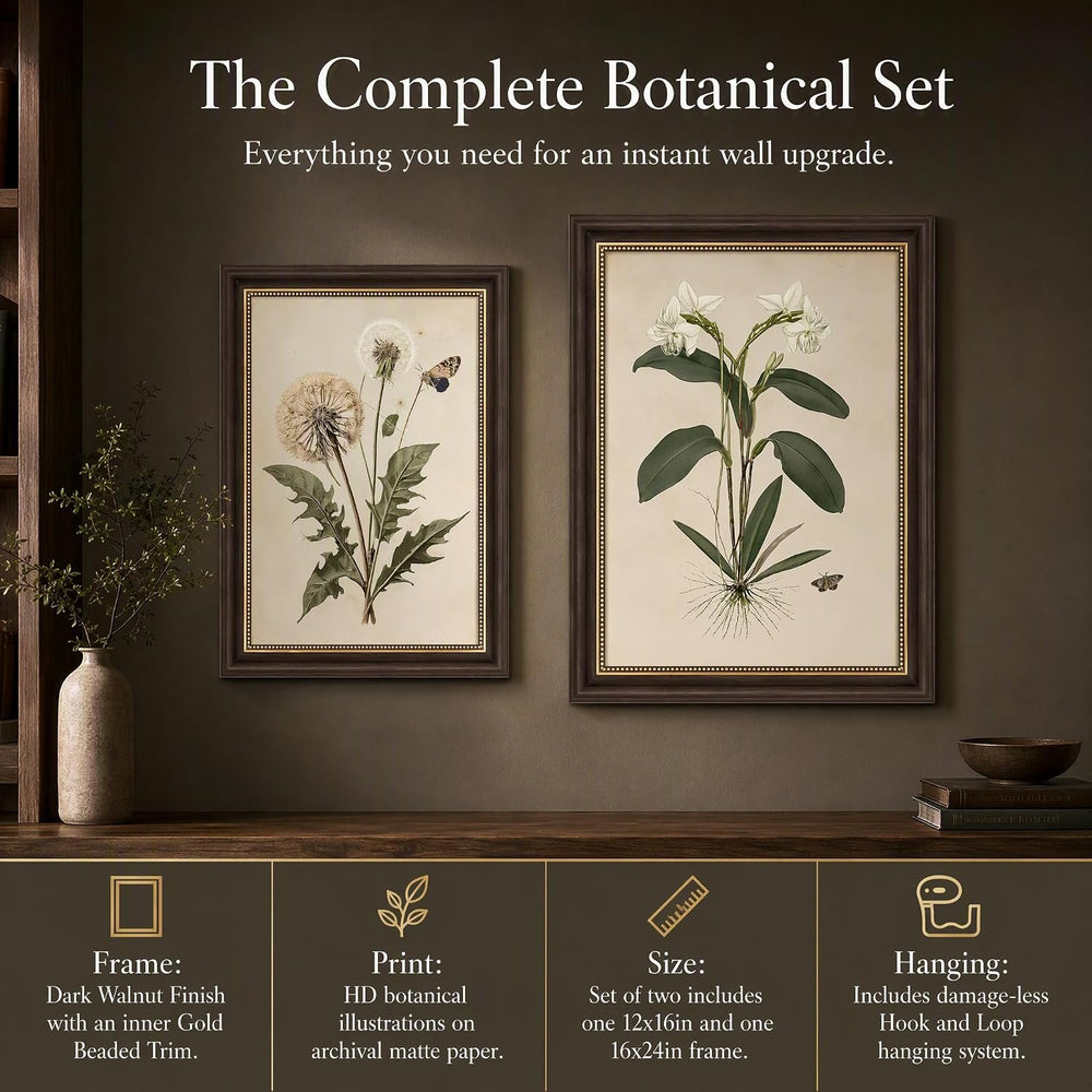2pcs Framed Vintage Botanical Wall Art (botany,12x16in,Framed)