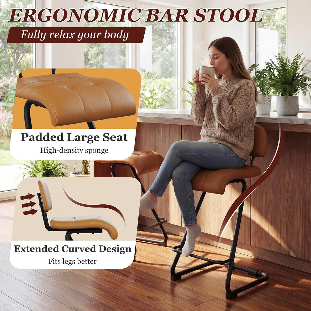 Counter Height Bar Stools Set of 2, Brown 24'' Barstools with Back