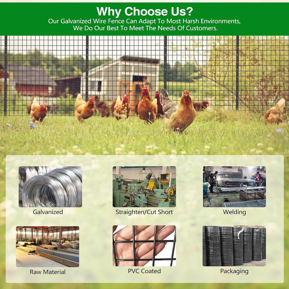GILPWA Wire Fence, 36 in(H) X 50 ft(L) PVC Coated Welded Wire Fencing 2"...