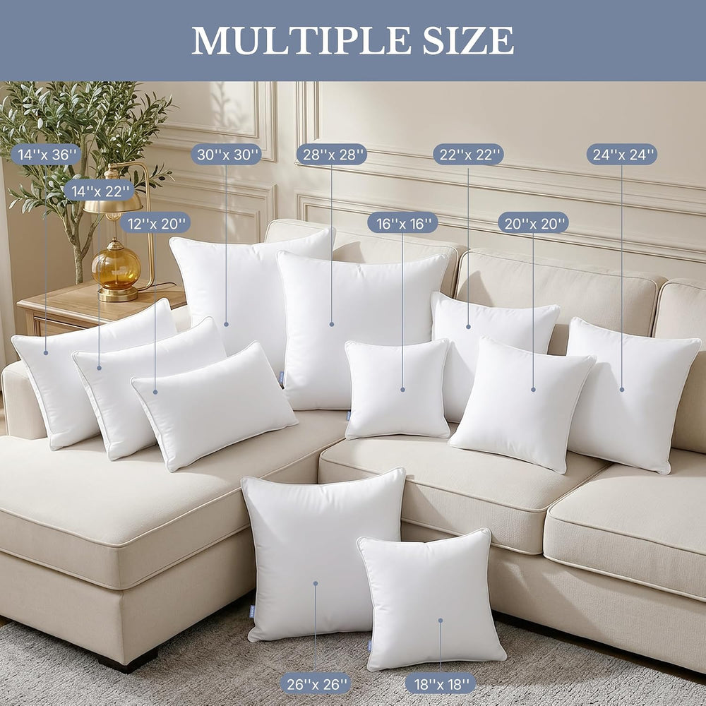Leeden 20x20 Throw Pillow Inserts Set of 2-100% Cotton Cover