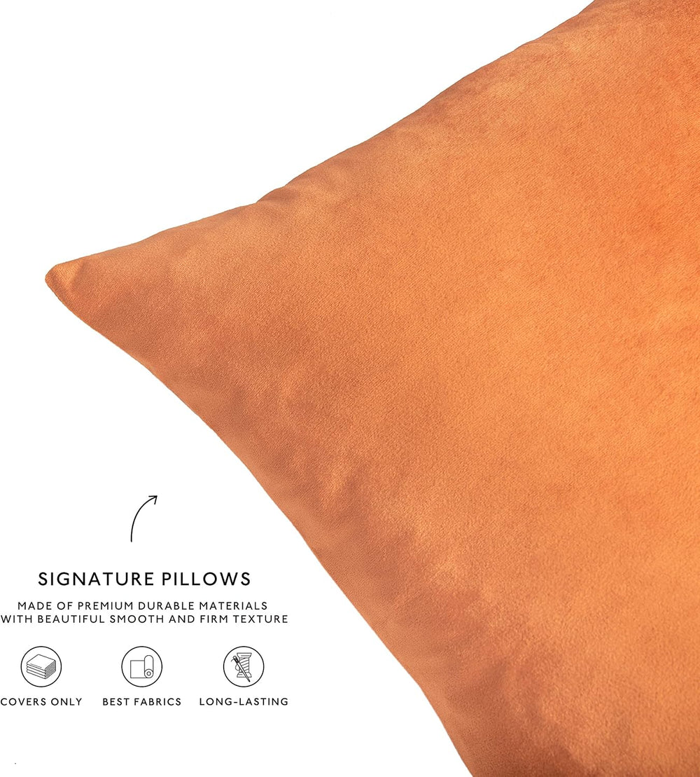 MONDAY MOOSE Decorative Throw Pillow Covers Cushion Cases, Set of 4 Soft Velv...