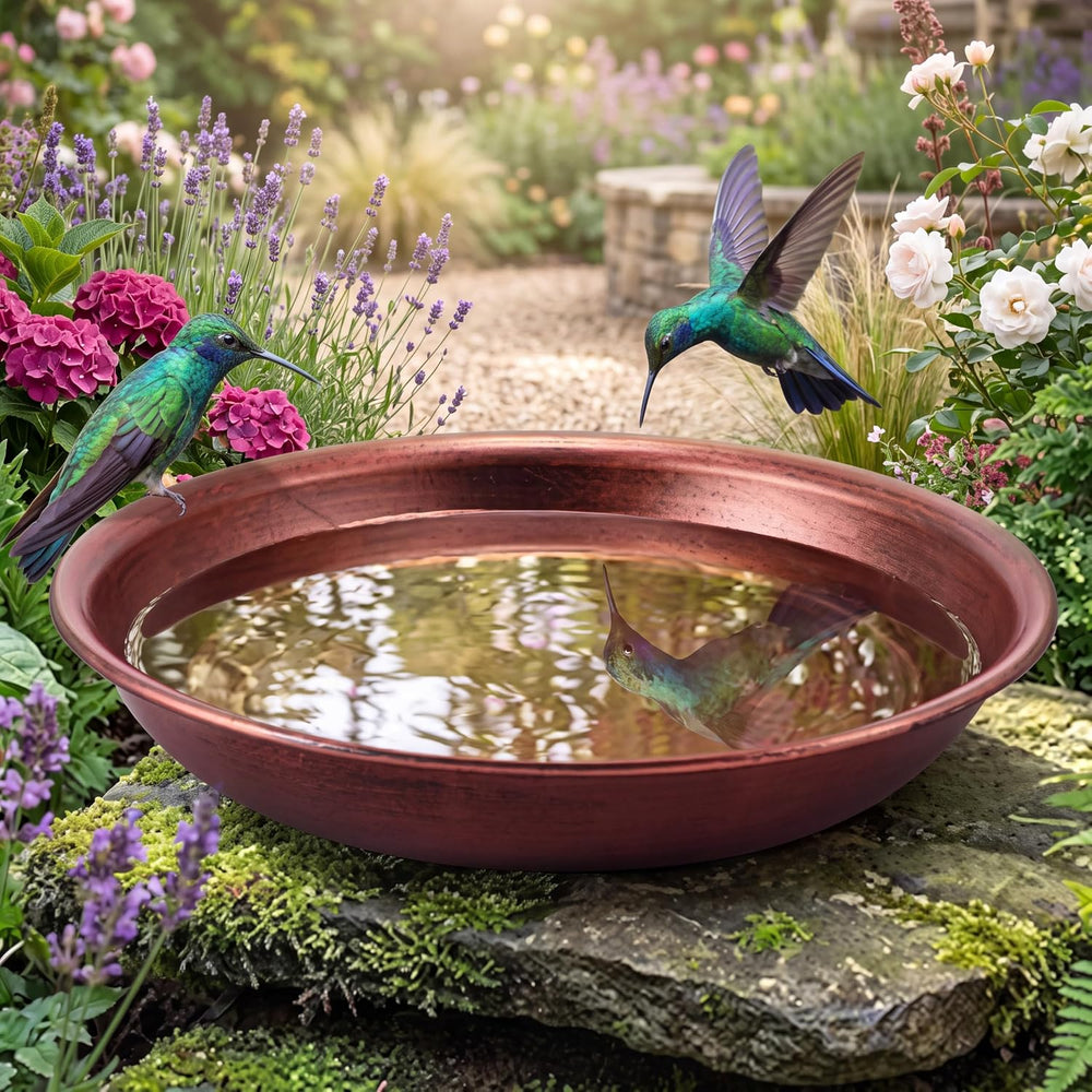 Bird Bath Bowl Outside, Large Bird Bath Bowl Replacement, Standing